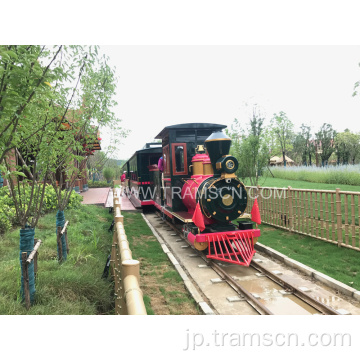 テーマパーク遊び場子供たちは電車を追跡します